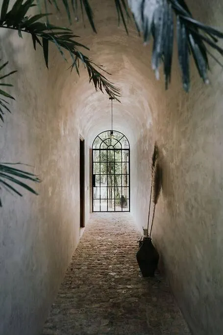 Design Loft With Private Pool And Spa Like Feature Tulum 0*,