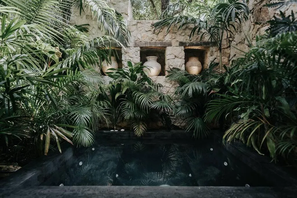 Design Loft With Private Pool And Spa Like Feature Tulum Apartment